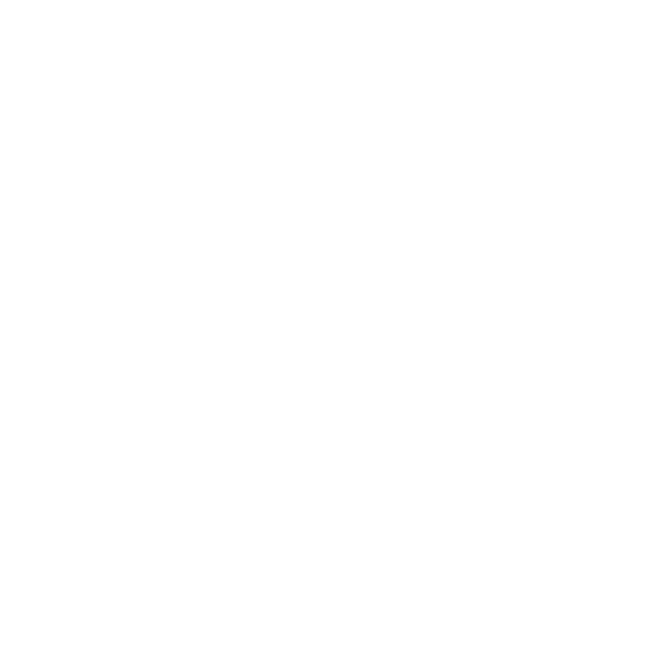 eaglelogo b white narrow